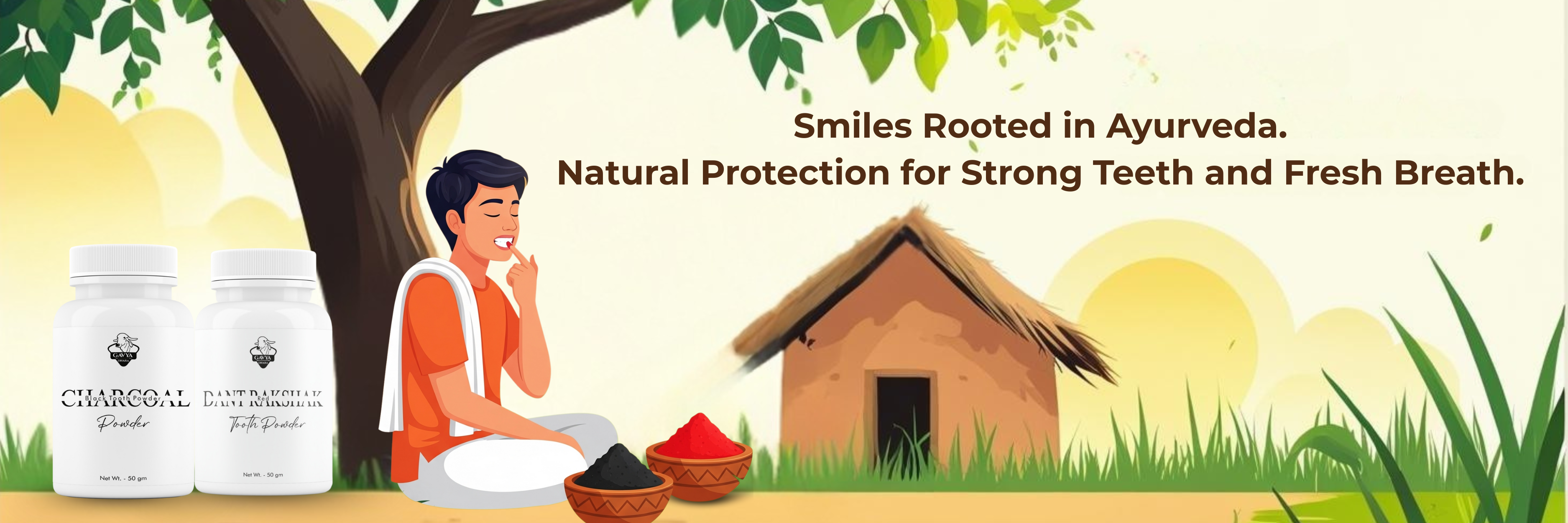 Traditional Dental Care Banner