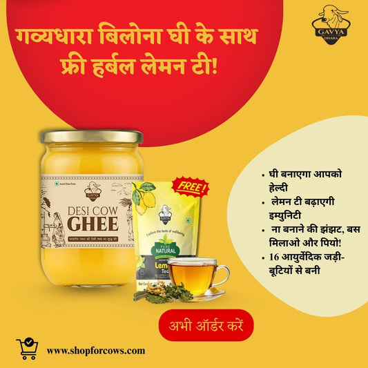 Buy Gavyadhara A2 Desi Cow Bilona Ghee Get Gavyadhara Original & Instant Lemon Tea, 120gms (15 Pouches of 8gms)
